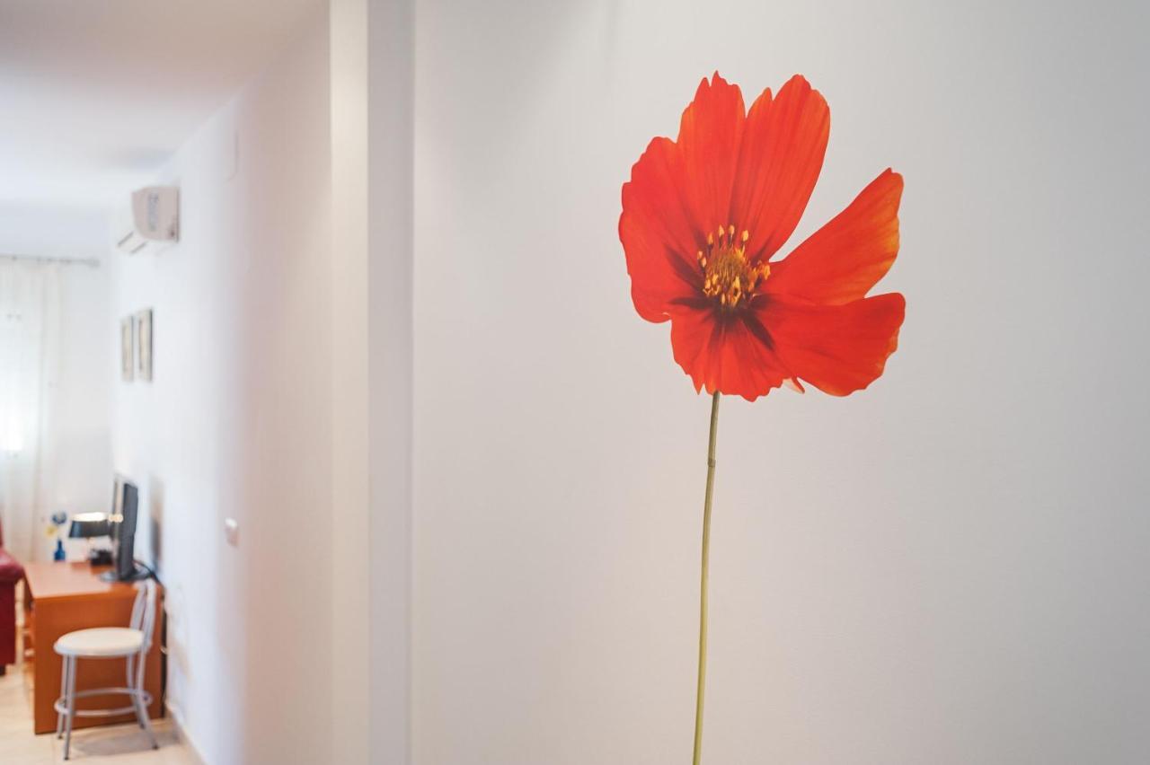 Piso Sebastian 2 Alto Solo Familias Apartment โกนิล เด ลาฟรอนเตรา ภายนอก รูปภาพ